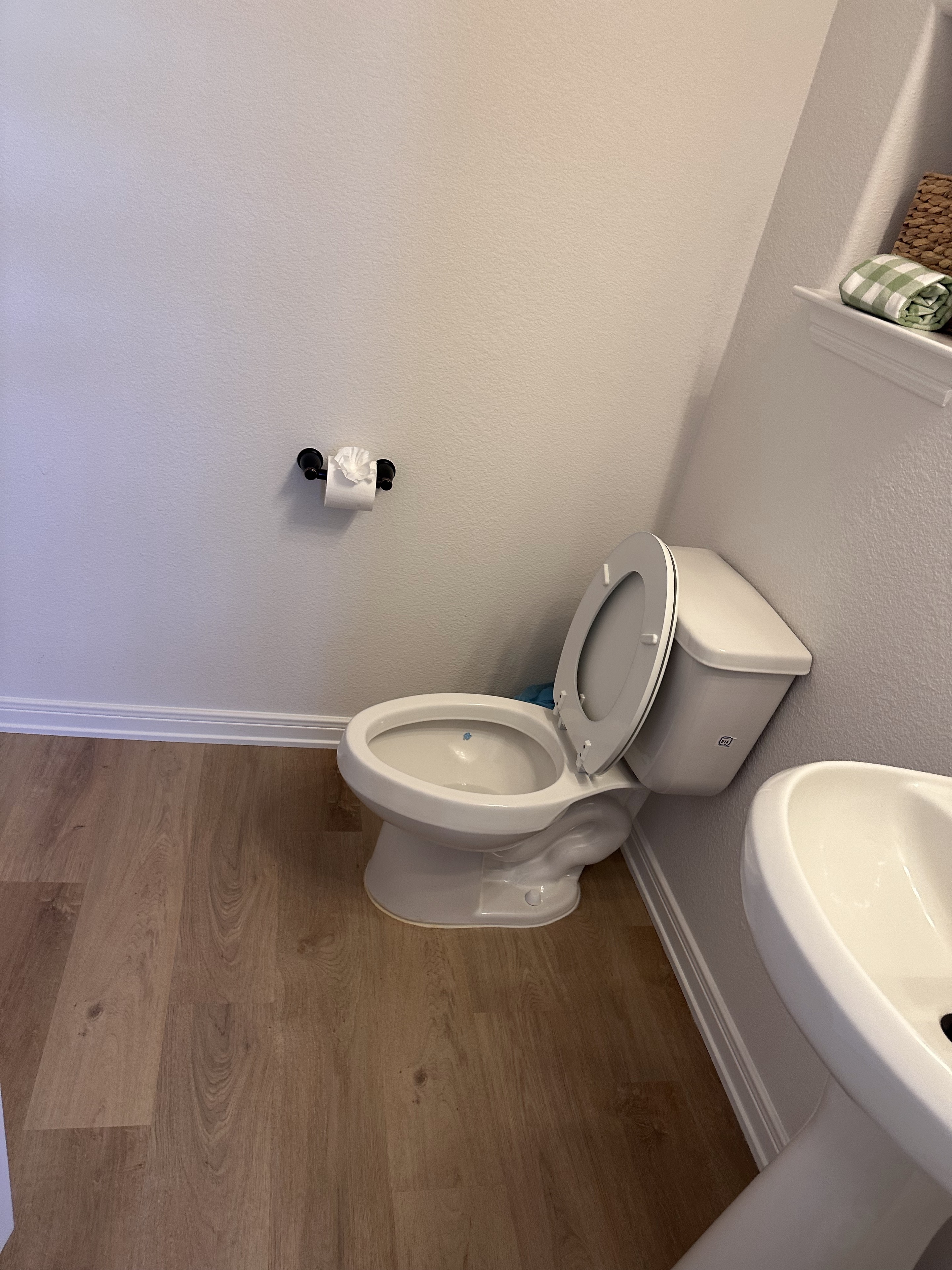 Bathroom toilet and wood-look flooring